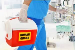 Organ Donation Questions